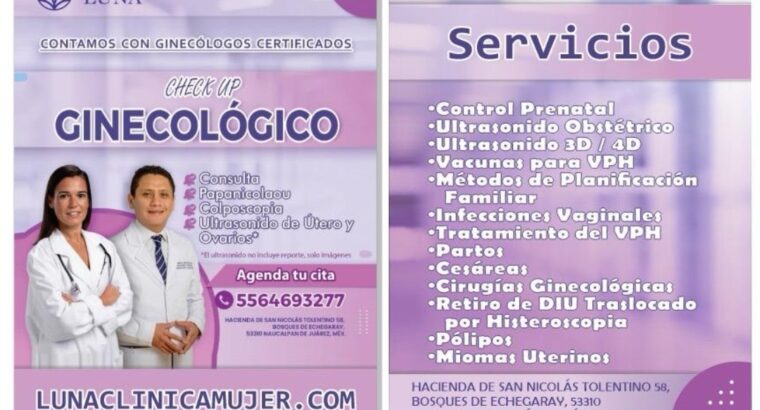 GINECOLOGIA