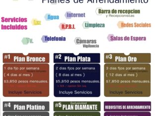 sitio en actualizacion de datos