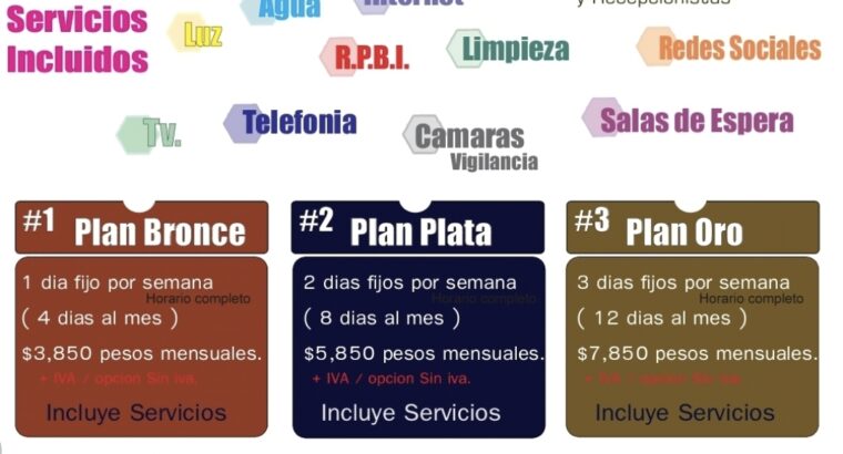 sitio en actualizacion de datos